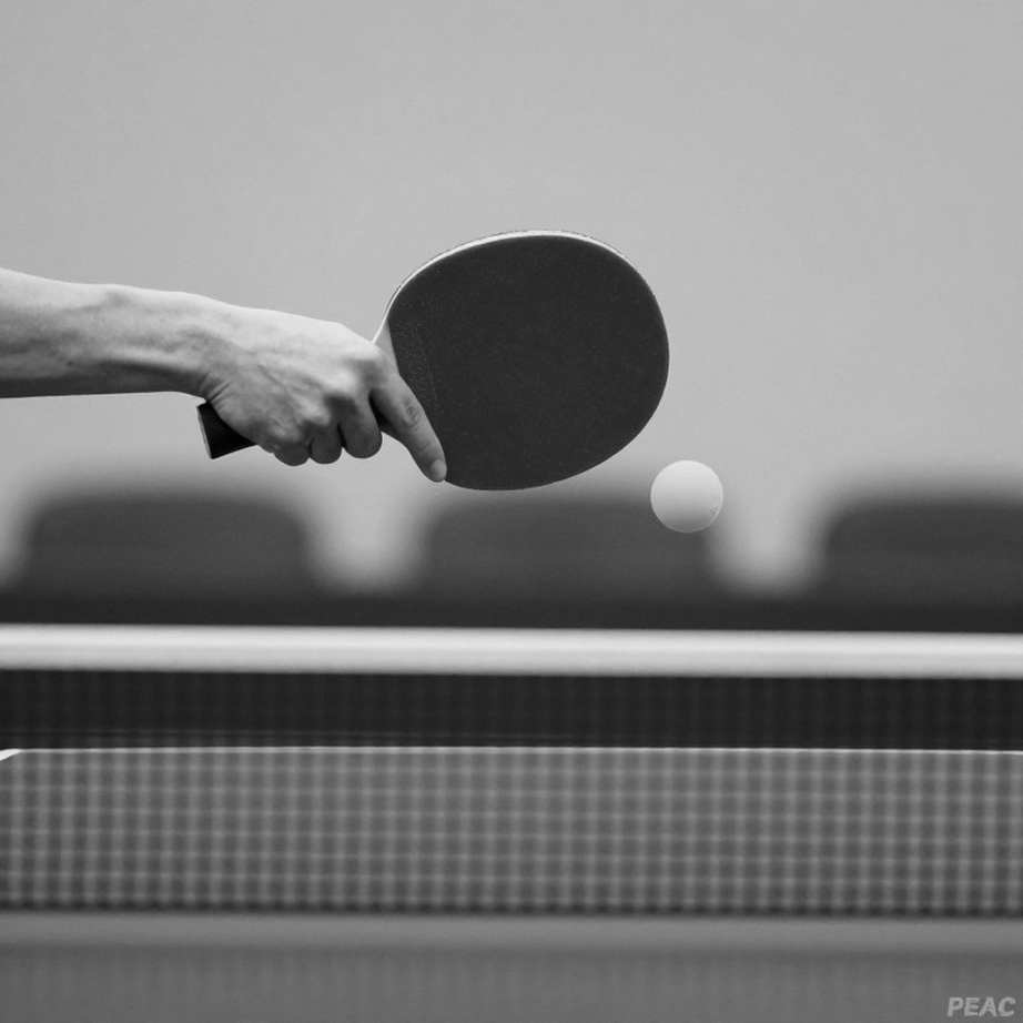 Table Tennis and the Empty Data Frame: When the Numbers Never Arrived Table Tennis and the Empty Data Frame: When the Numbers Never Arrived