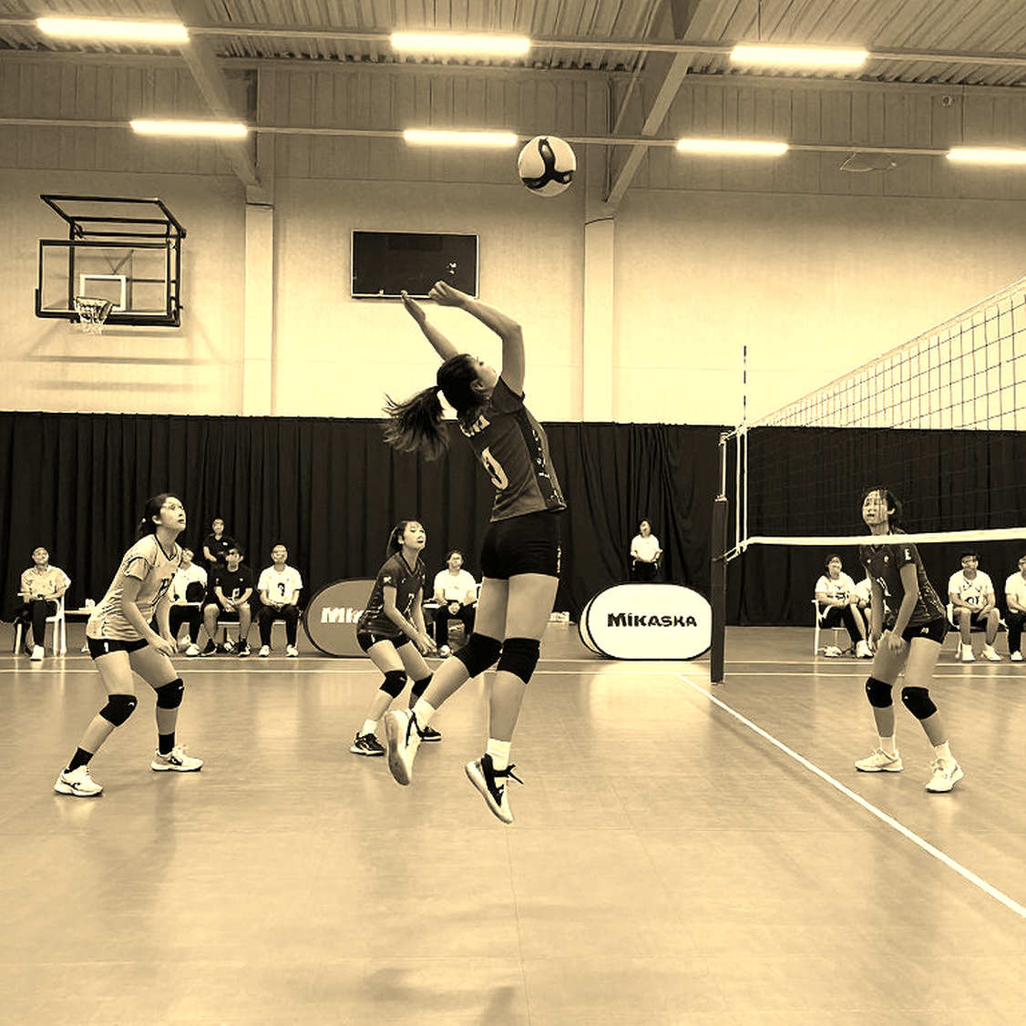 Gabi Guimarães và canh bạc VakifBank: Khi tay đập 1m80 rời vùng an toàn của Brazil