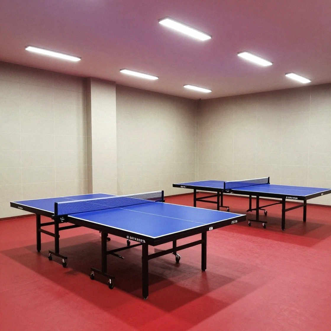 Hai nhà vô địch U11 của bóng bàn Anh: tài năng nằm im ở một góc sân, chờ một ánh mắt